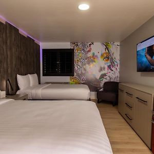 Classic King Room